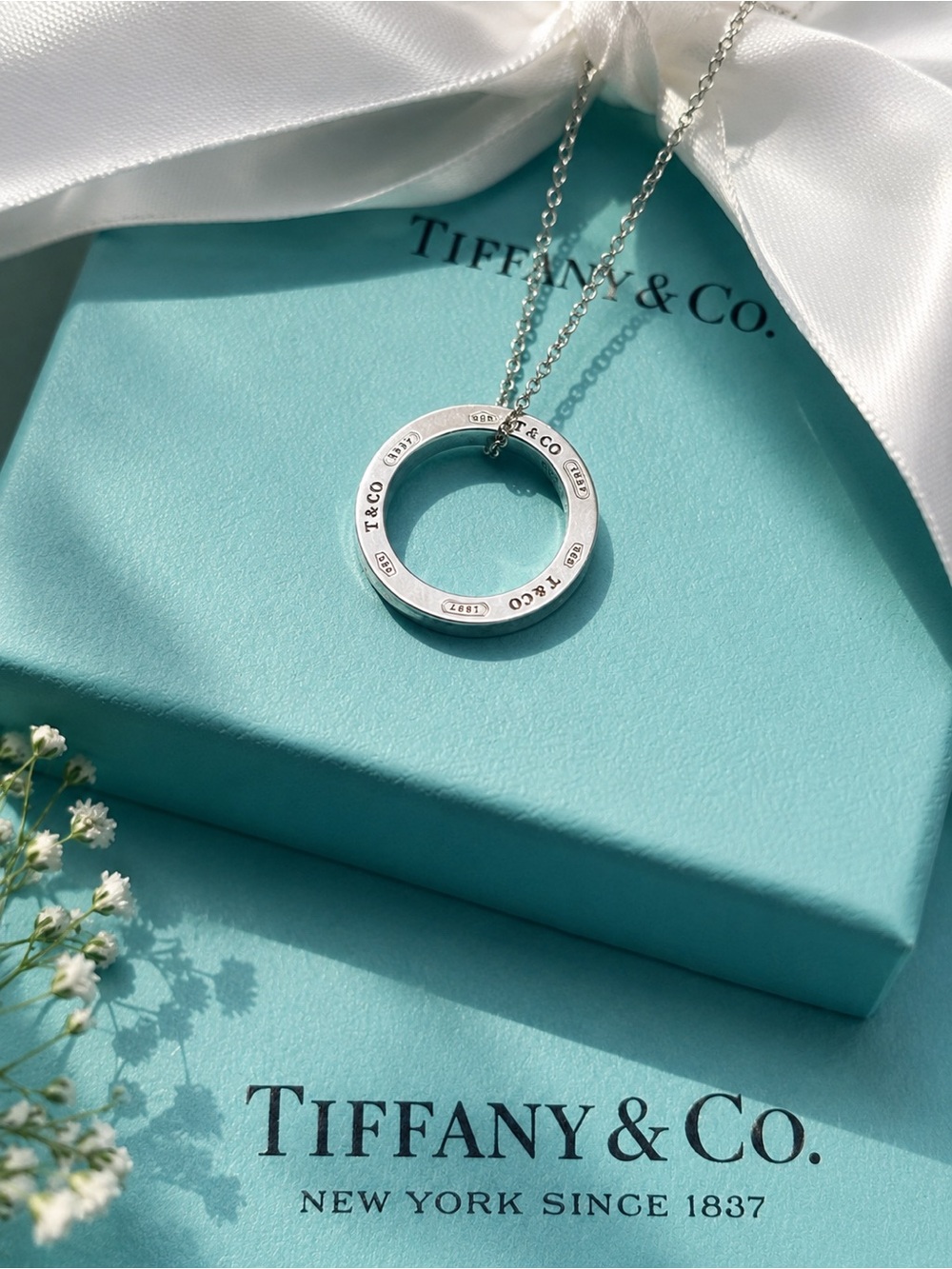 Authentic Tiffany & Co Circle Pendant Necklace
